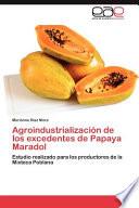 libro Agroindustrialización De Los Excedentes De Papaya Maradol