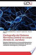 libro Cartografía Del Sistema Nervioso Central En Carpa Dorada