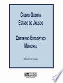 libro Ciudad Guzmán Estado De Jalisco. Cuaderno Estadístico Municipal 1995